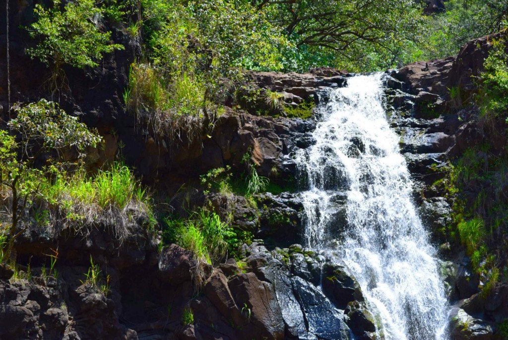 15 waimea falls oahu hawaii